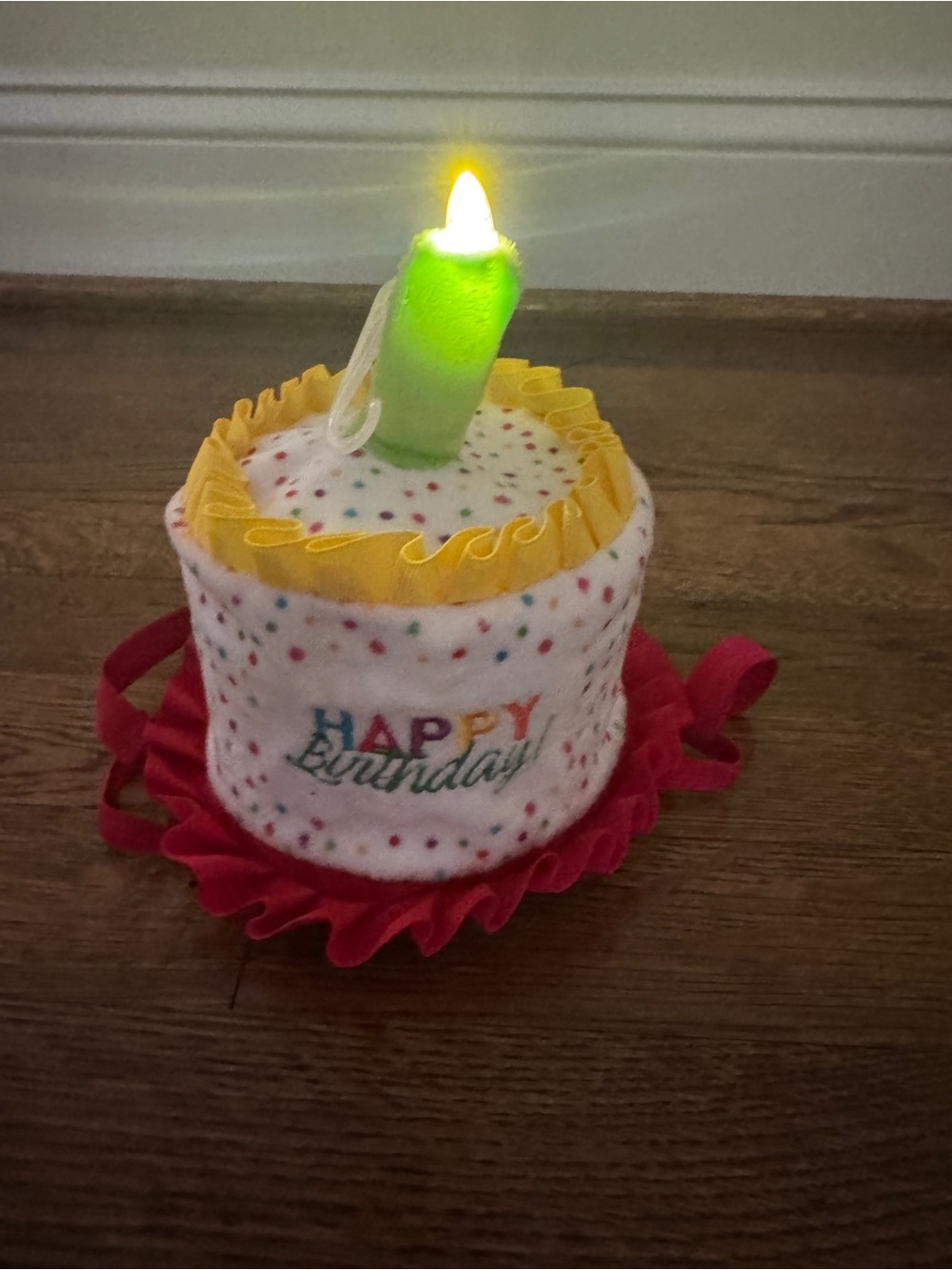 Lighting Pet’s Birthday hat